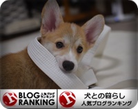 犬との暮らしランキング